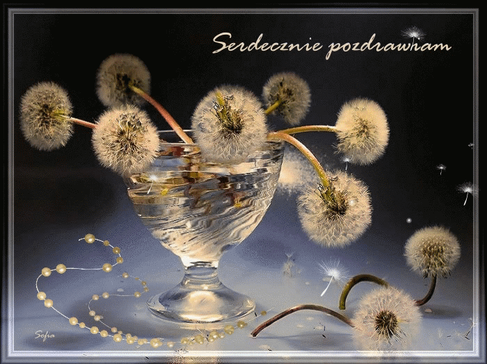 Serdecznie pozdrawiam dmuchawce